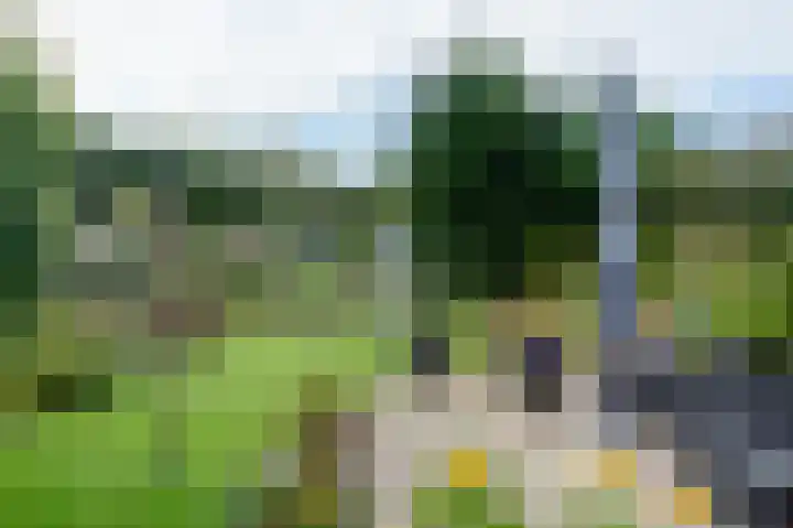 Kerkendelweg 49 60 Kootwijk thumbnail 17