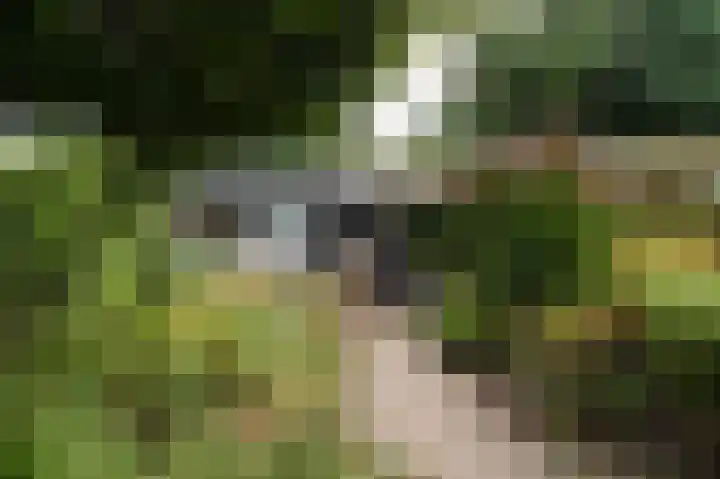 Kerkendelweg 49 60 Kootwijk thumbnail 18