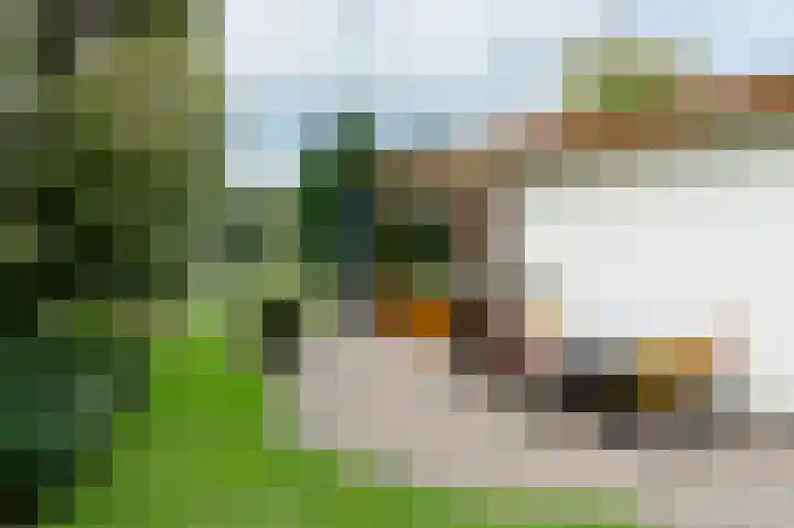 Kerkendelweg 49 60 Kootwijk thumbnail 4