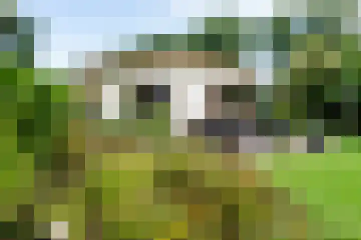 Kerkendelweg 49 60 Kootwijk thumbnail 6