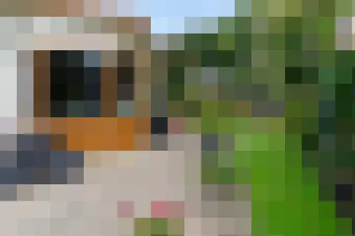 Kerkendelweg 49 60 Kootwijk thumbnail 9