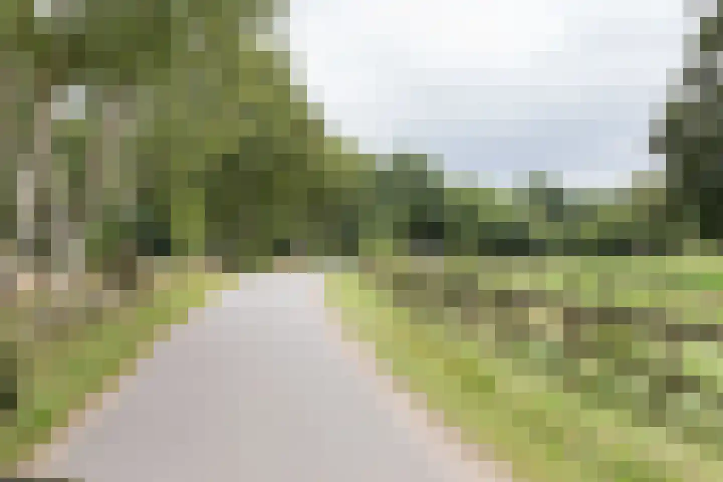 Kerkendelweg 49 82 Kootwijk thumbnail 38