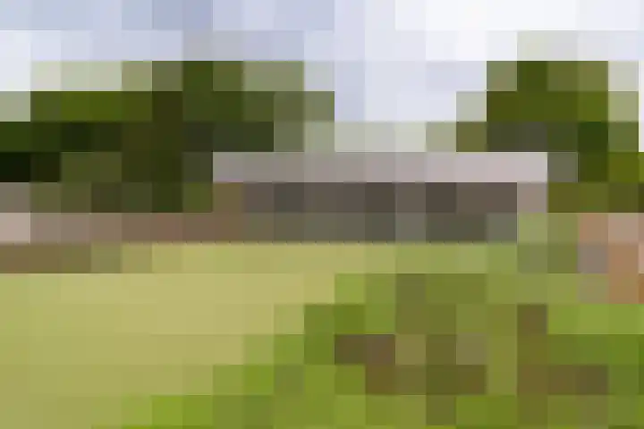 Kerkendelweg 49 86 Kootwijk thumbnail 45