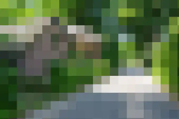 Kerkendelweg 49 86 Kootwijk thumbnail 52