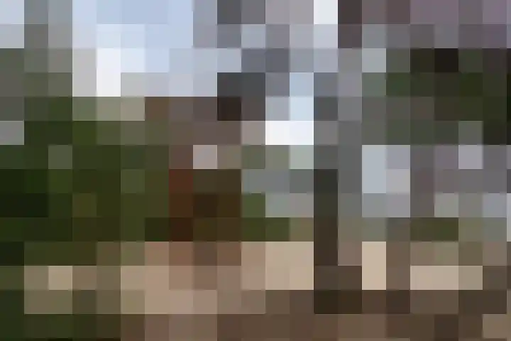 Kerkendelweg 49 86 Kootwijk thumbnail 64