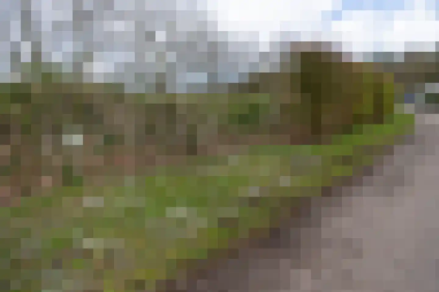Kerkendelweg 49 89 Kootwijk thumbnail 33