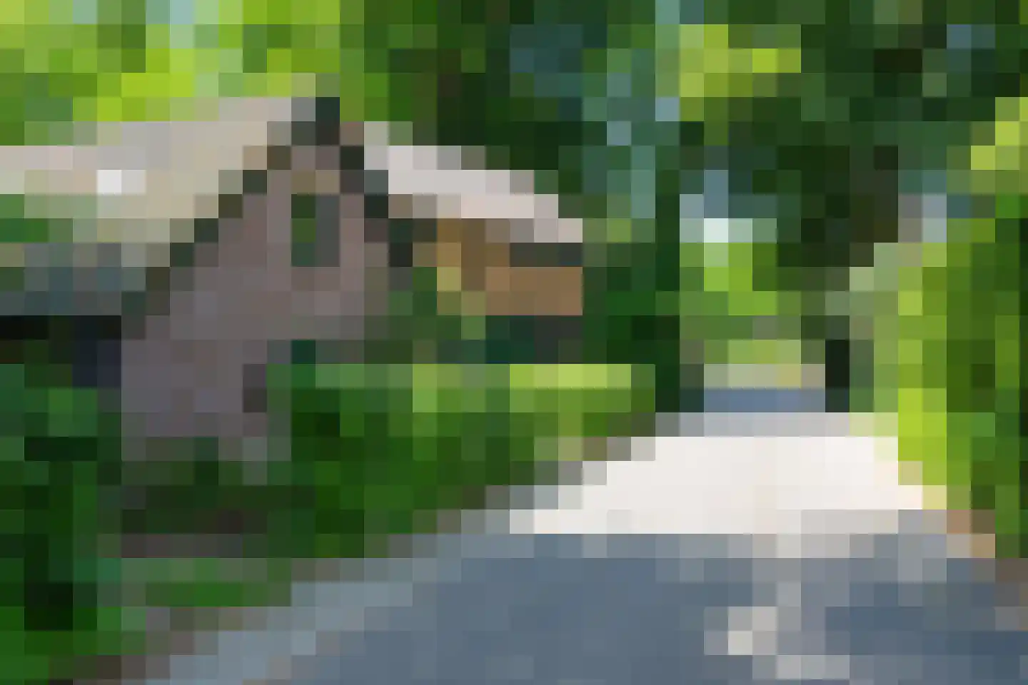 Kerkendelweg 49 89 Kootwijk thumbnail 48