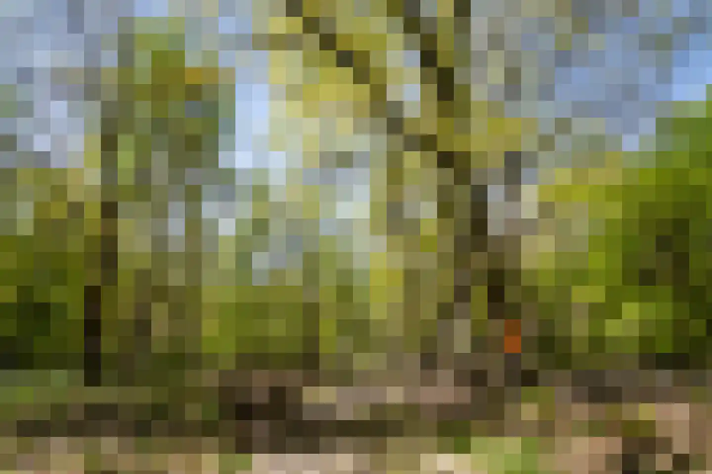 Kerkendelweg 49 89 Kootwijk thumbnail 51