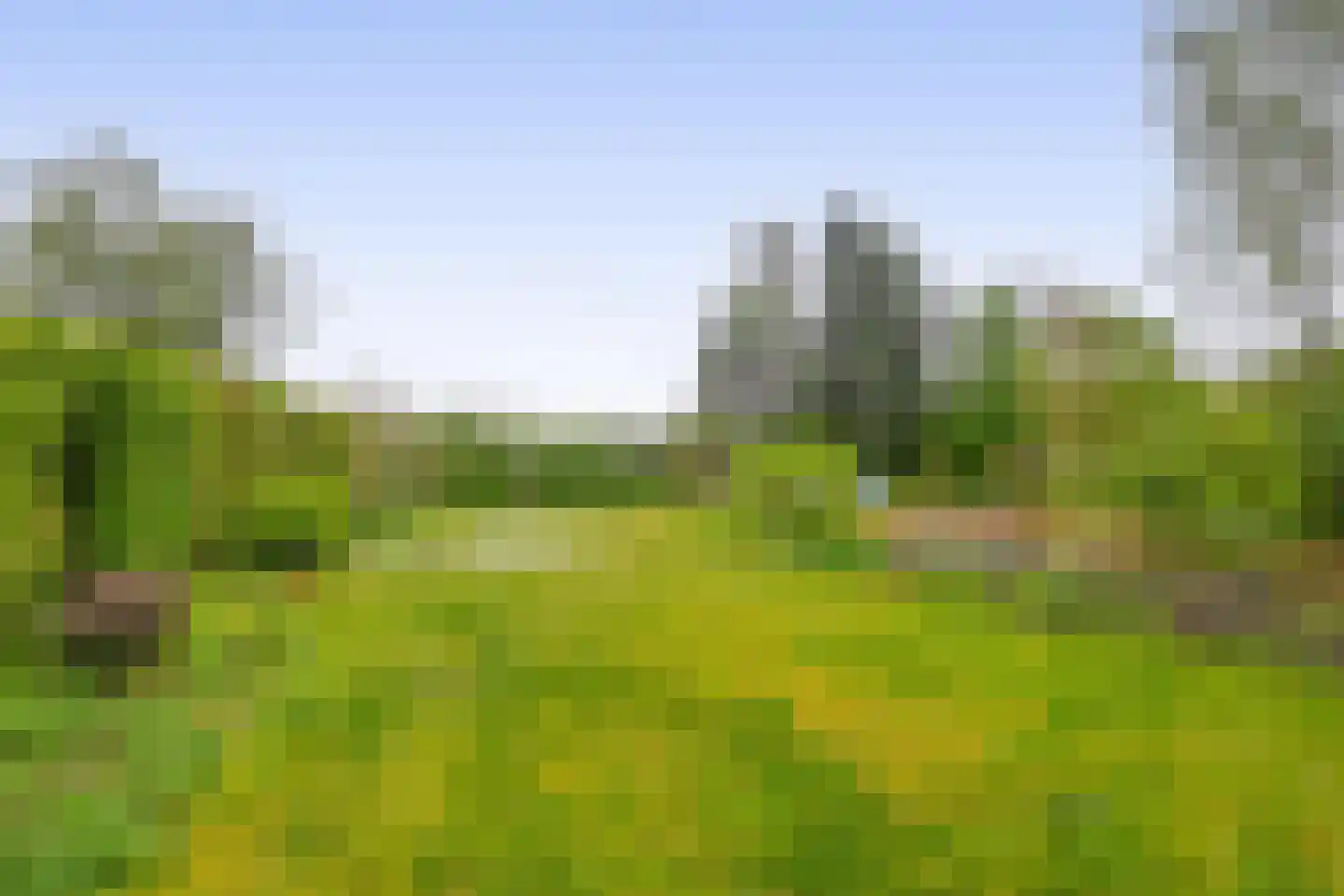 Kerkendelweg 59 Kootwijk foto 3
