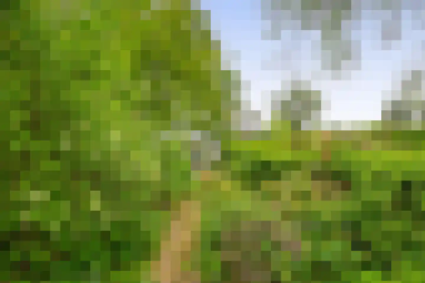 Kerkendelweg 59 Kootwijk thumbnail 44