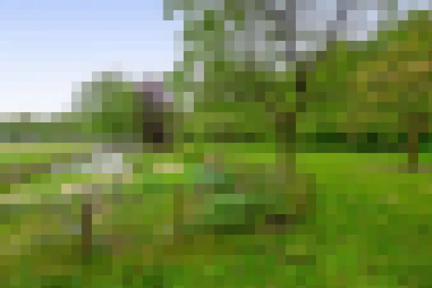 Kerkendelweg 59 Kootwijk thumbnail 52