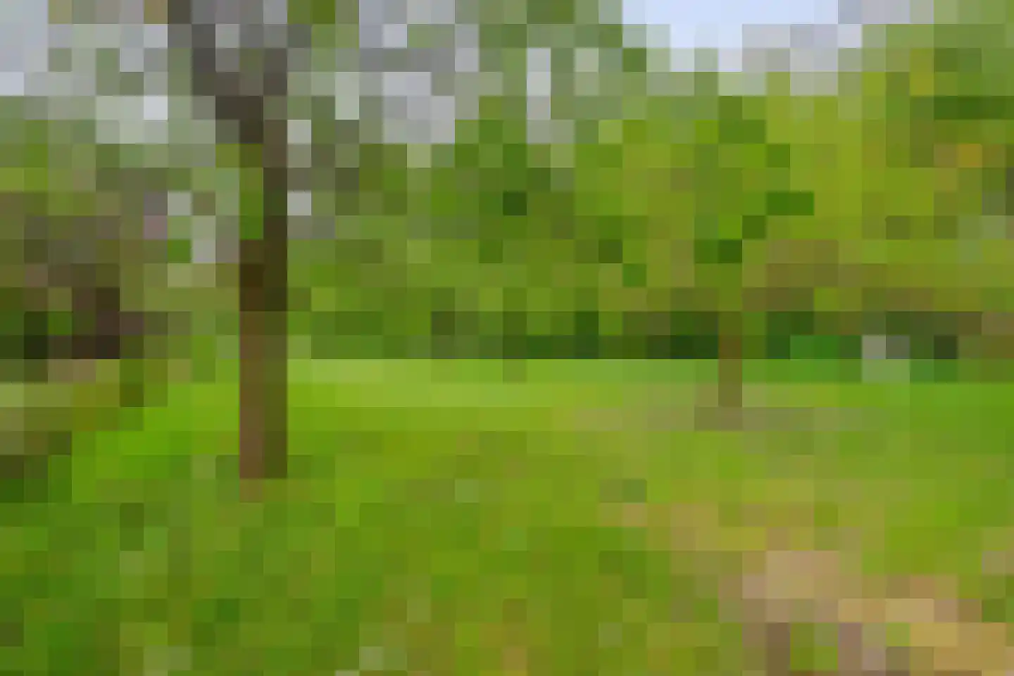 Kerkendelweg 59 Kootwijk thumbnail 53