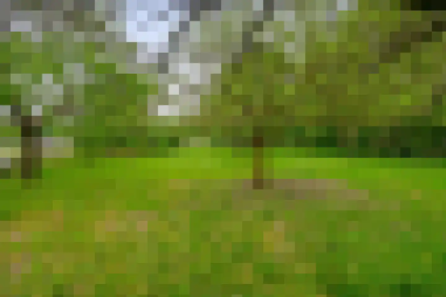 Kerkendelweg 59 Kootwijk thumbnail 54
