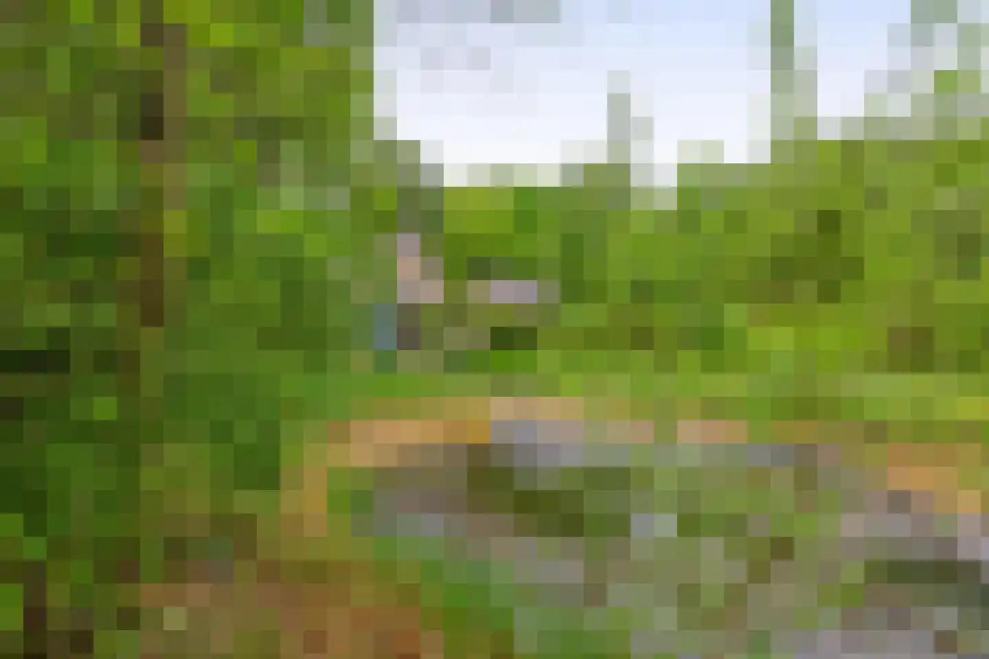 Kerkendelweg 59 Kootwijk thumbnail 57