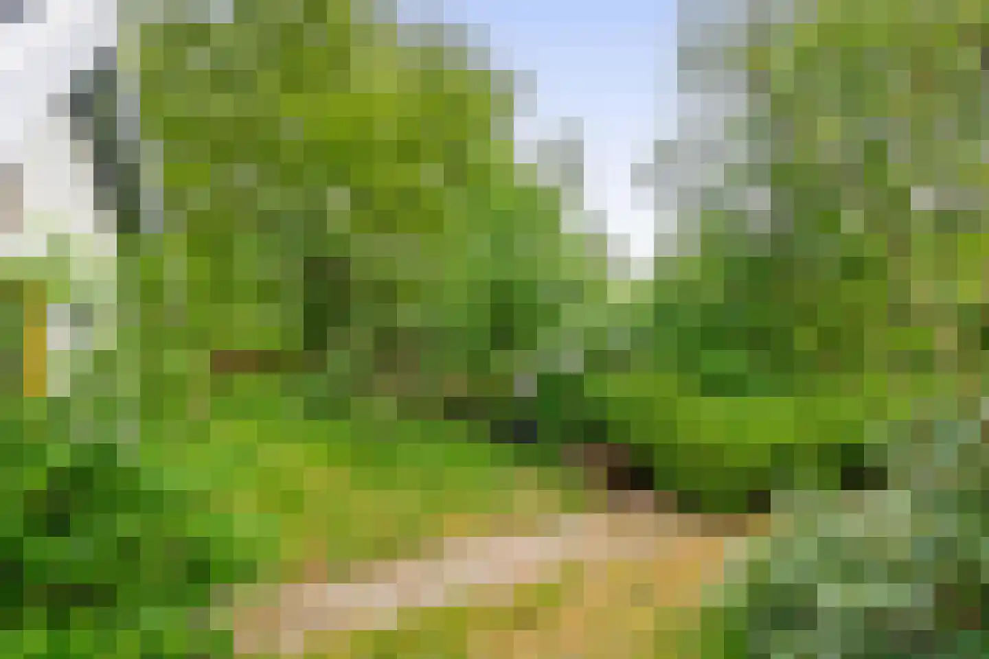 Kerkendelweg 59 Kootwijk thumbnail 62