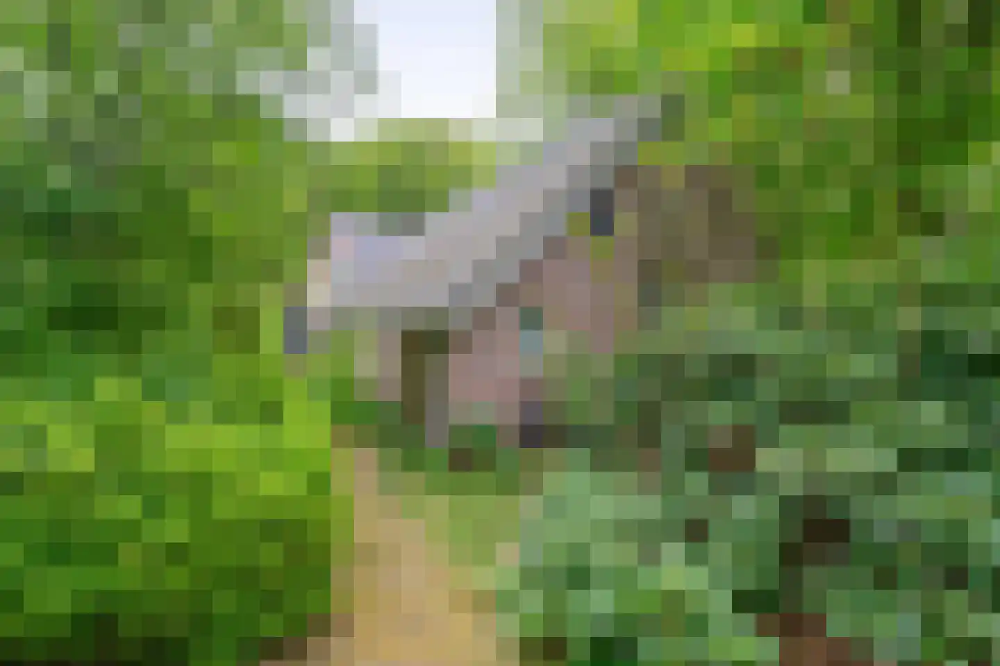 Kerkendelweg 59 Kootwijk thumbnail 63