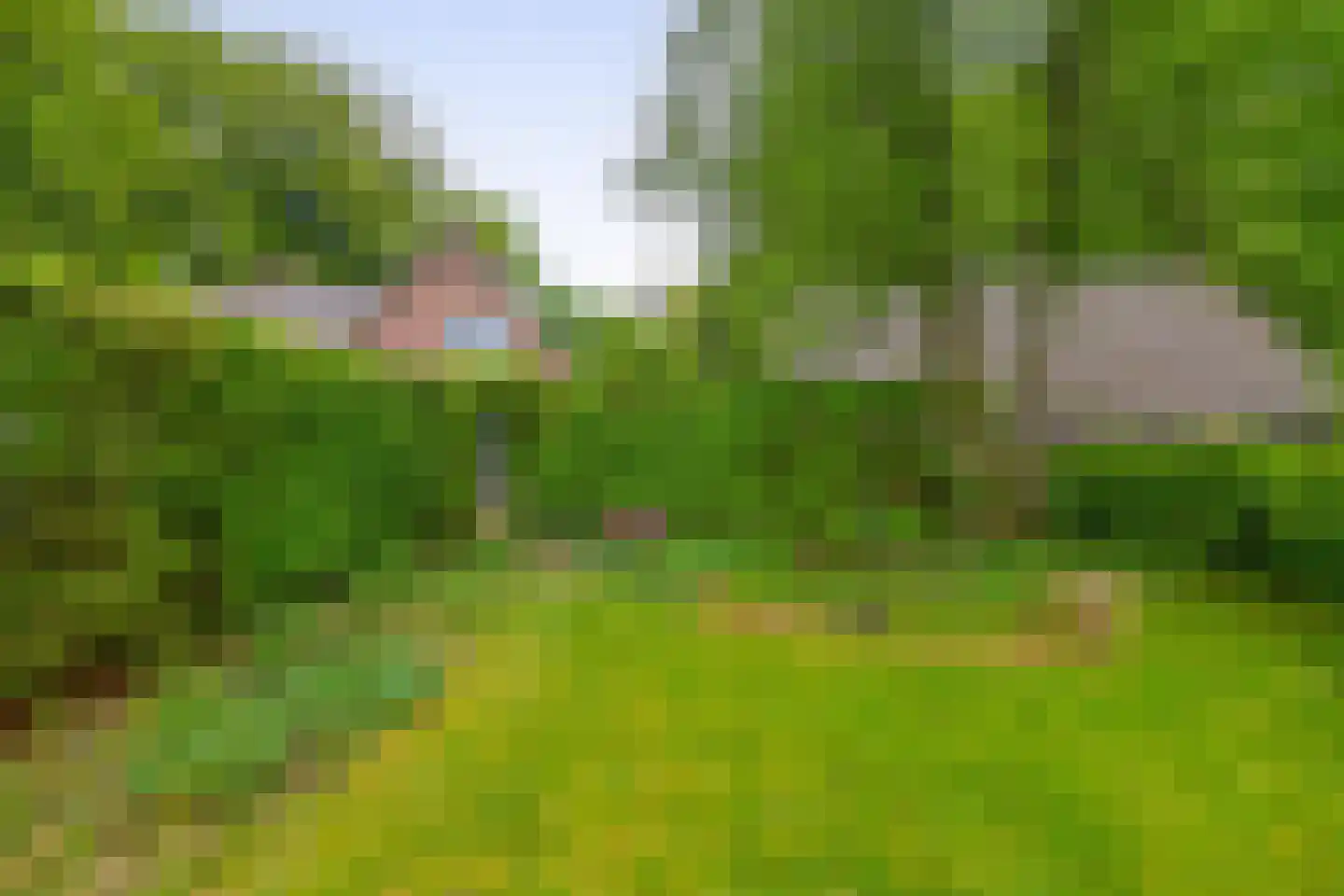 Kerkendelweg 59 Kootwijk thumbnail 64