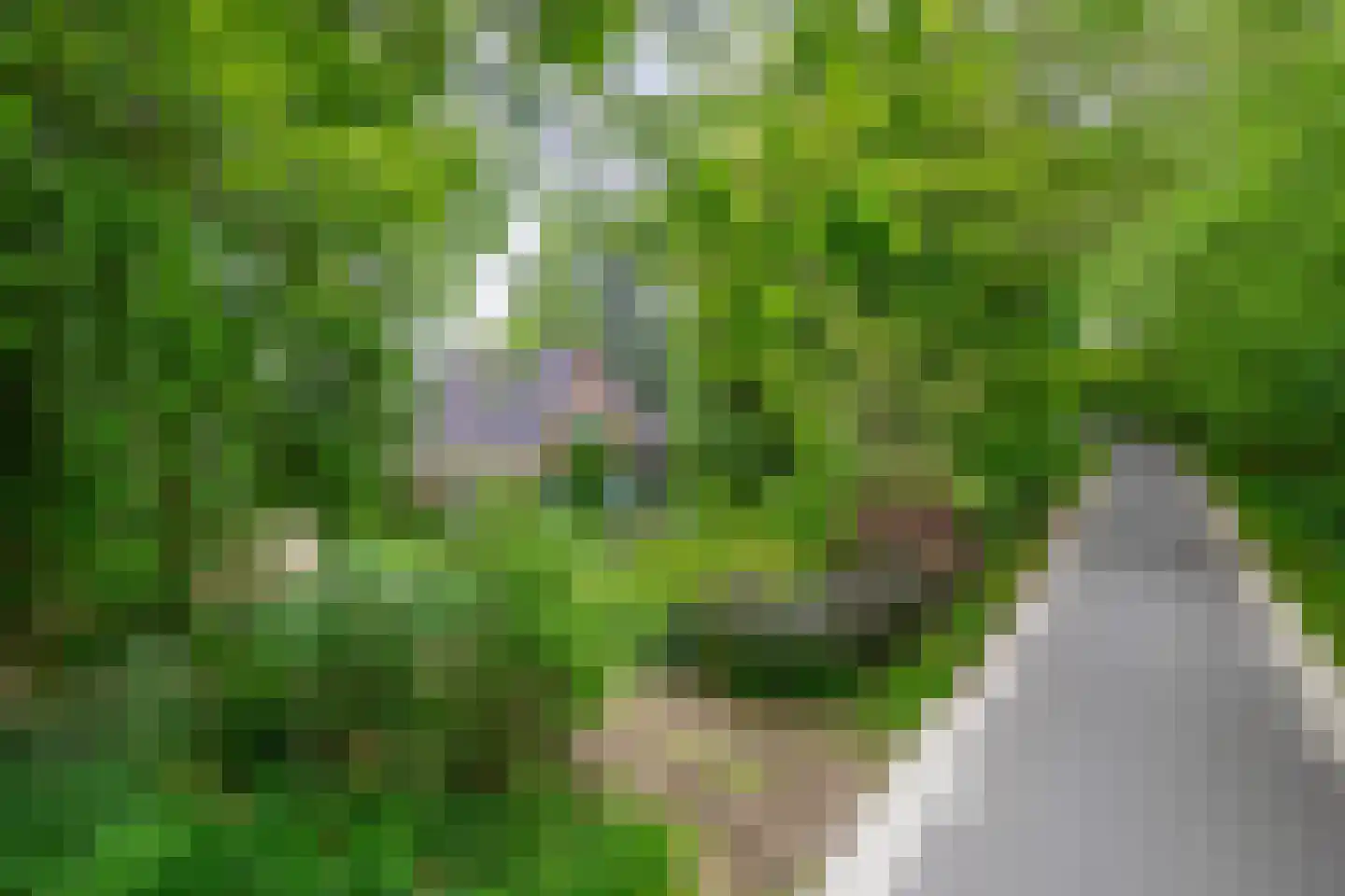Kerkendelweg 59 Kootwijk thumbnail 70