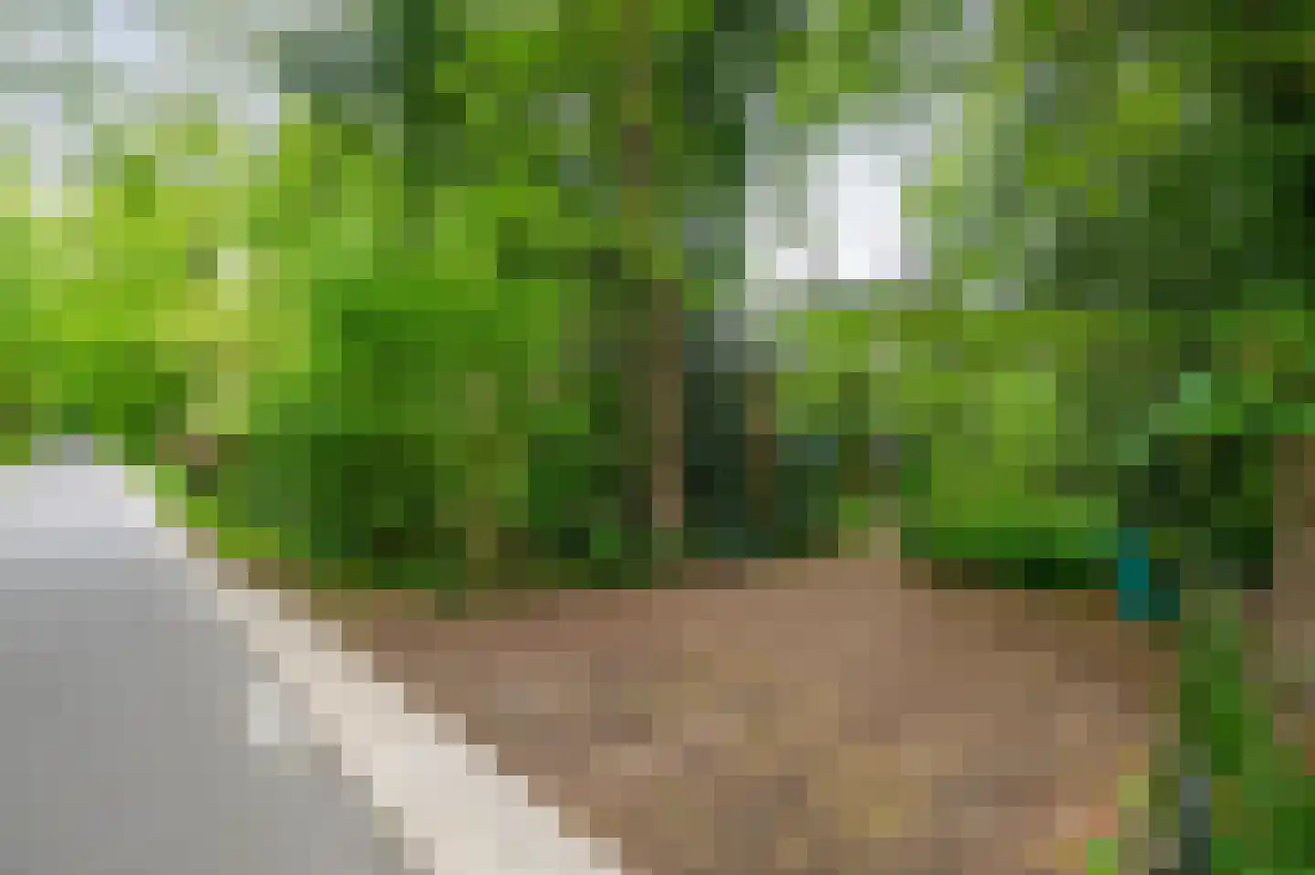 Kerkendelweg 59 Kootwijk thumbnail 71