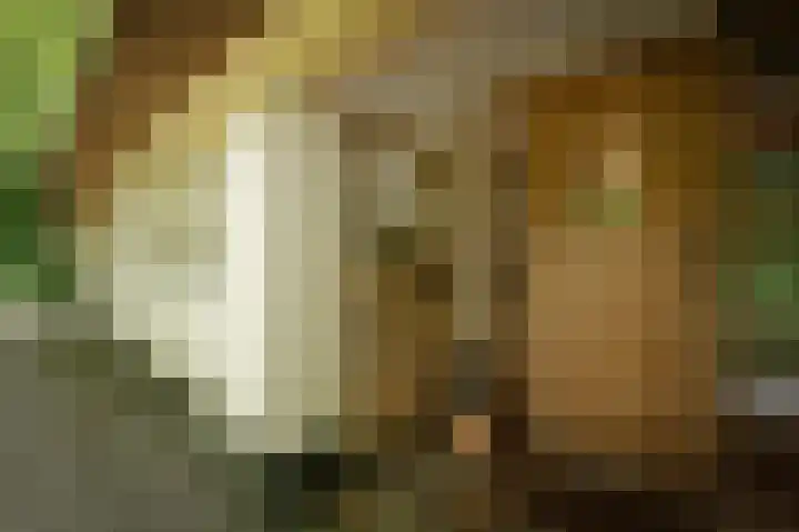 Kerkendelweg 7 Kootwijk thumbnail 13