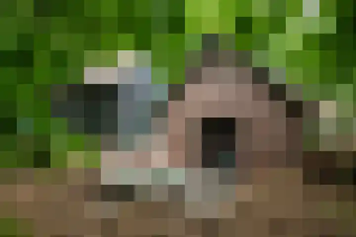 Kerkendelweg 7 Kootwijk thumbnail 38