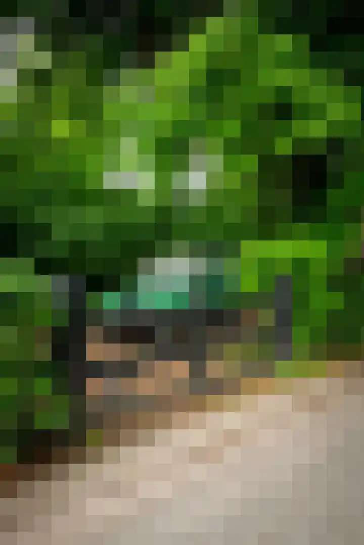 Kerkendelweg 7 Kootwijk thumbnail 40