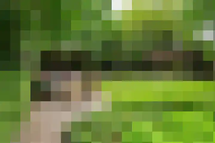 Kerkendelweg 7 Kootwijk thumbnail 41