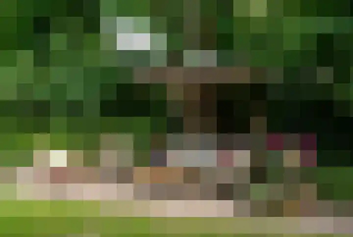Kerkendelweg 7 Kootwijk thumbnail 42
