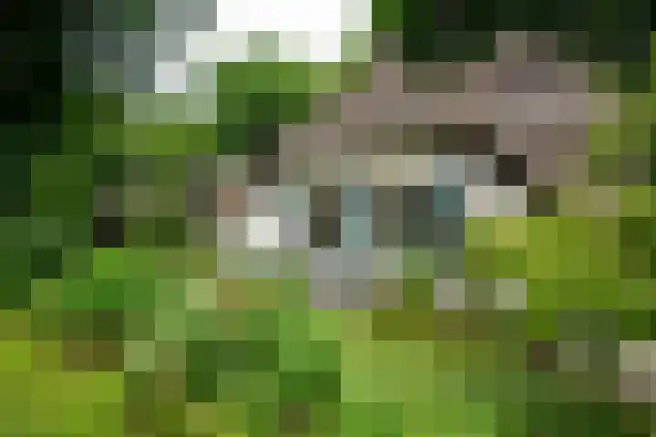 Kerkendelweg 7 Kootwijk thumbnail 44