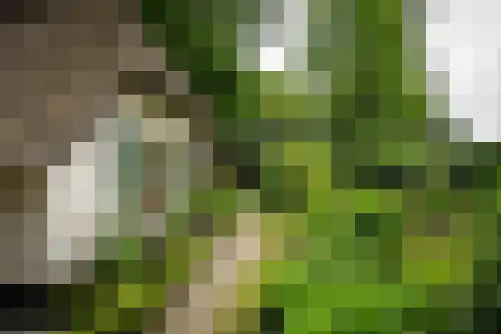 Kerkendelweg 7 Kootwijk thumbnail 46