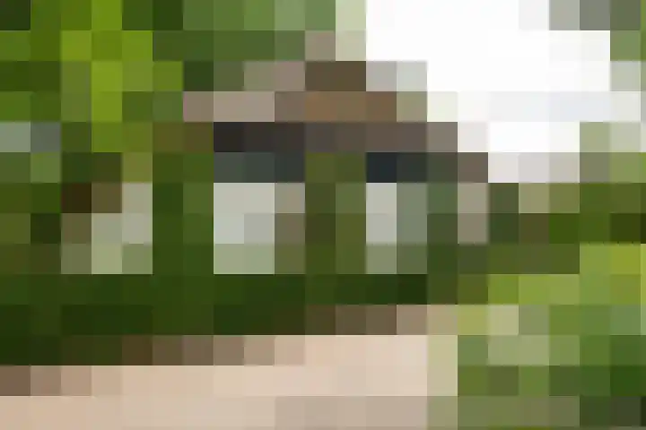 Kerkendelweg 7 Kootwijk thumbnail 47