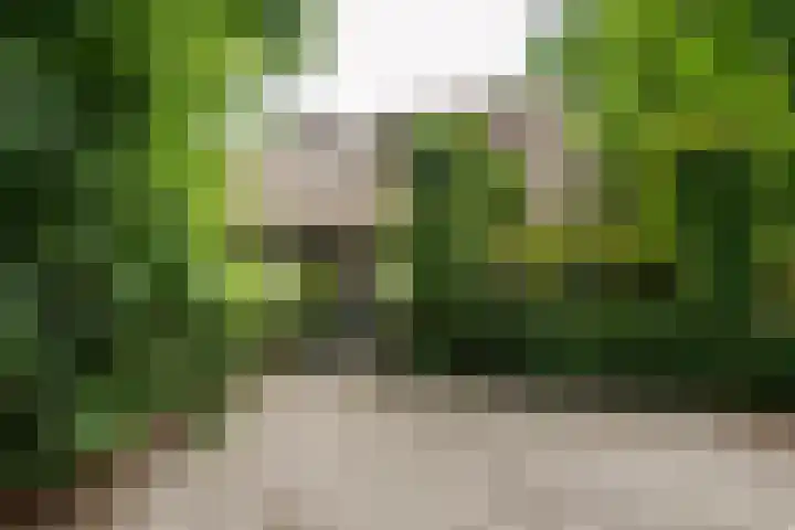 Kerkendelweg 7 Kootwijk thumbnail 48