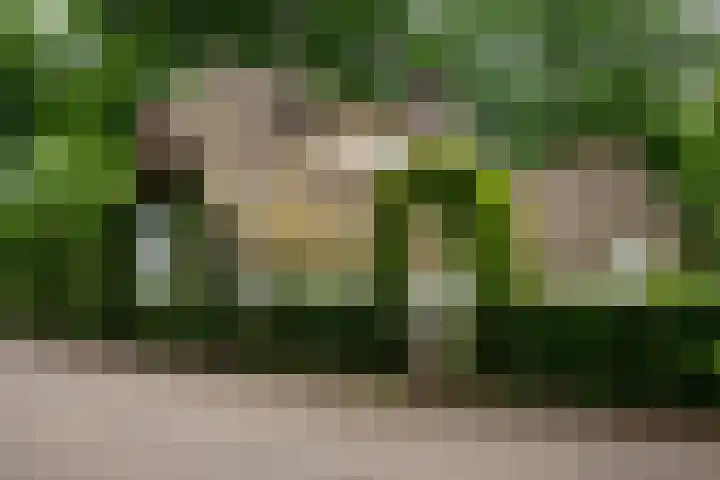 Kerkendelweg 7 Kootwijk thumbnail 49