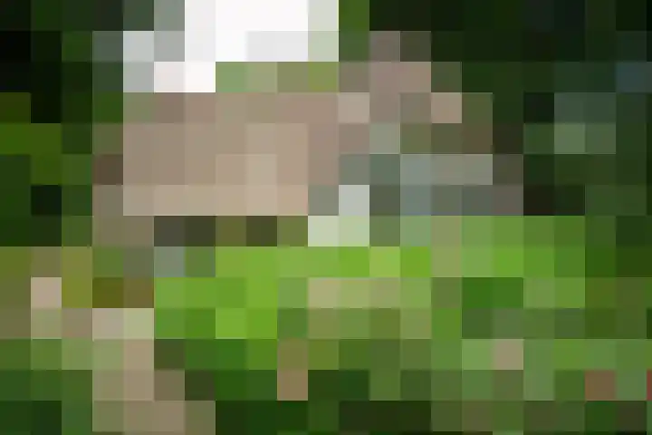 Kerkendelweg 7 Kootwijk thumbnail 59