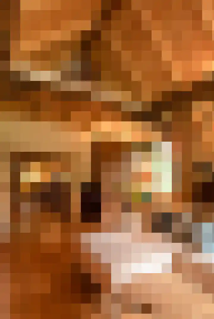 Kerkendelweg 7 Kootwijk thumbnail 6