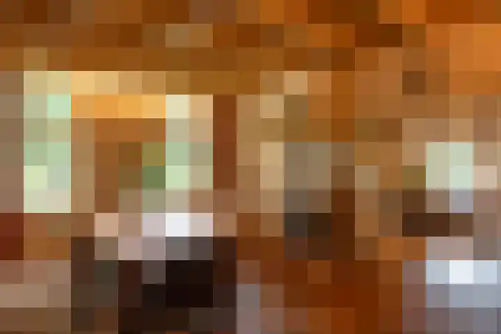 Kerkendelweg 7 Kootwijk thumbnail 8