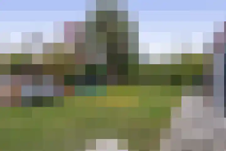 Kerkendijk 88 Schijndel thumbnail 32