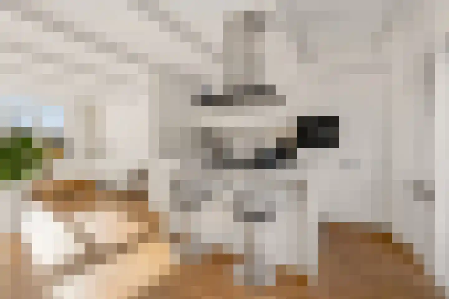 Kerkenland 7 Elburg thumbnail 13