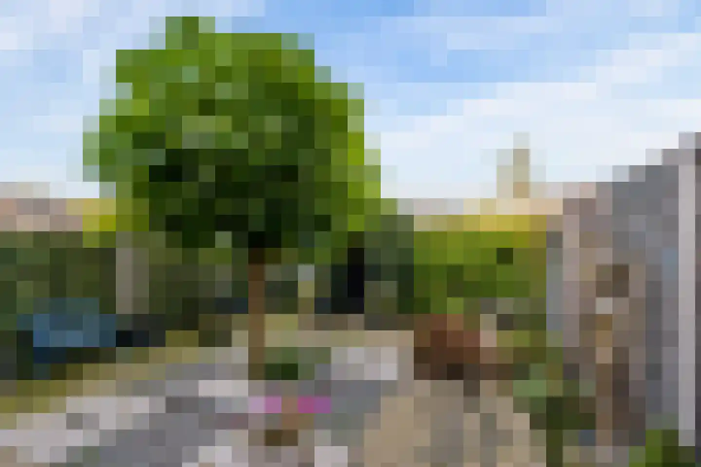 Kerkenland 7 Elburg thumbnail 41