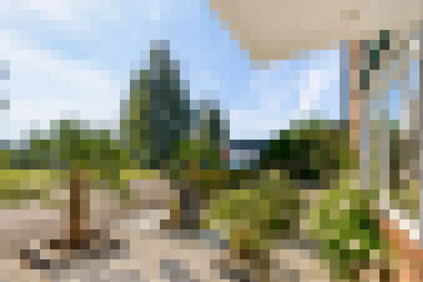 Kerkenland 7 Elburg thumbnail 47