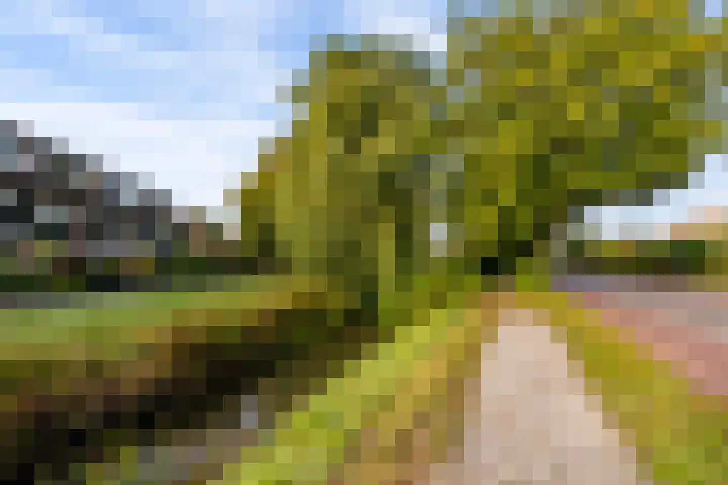 Kerkenland 7 Elburg thumbnail 52