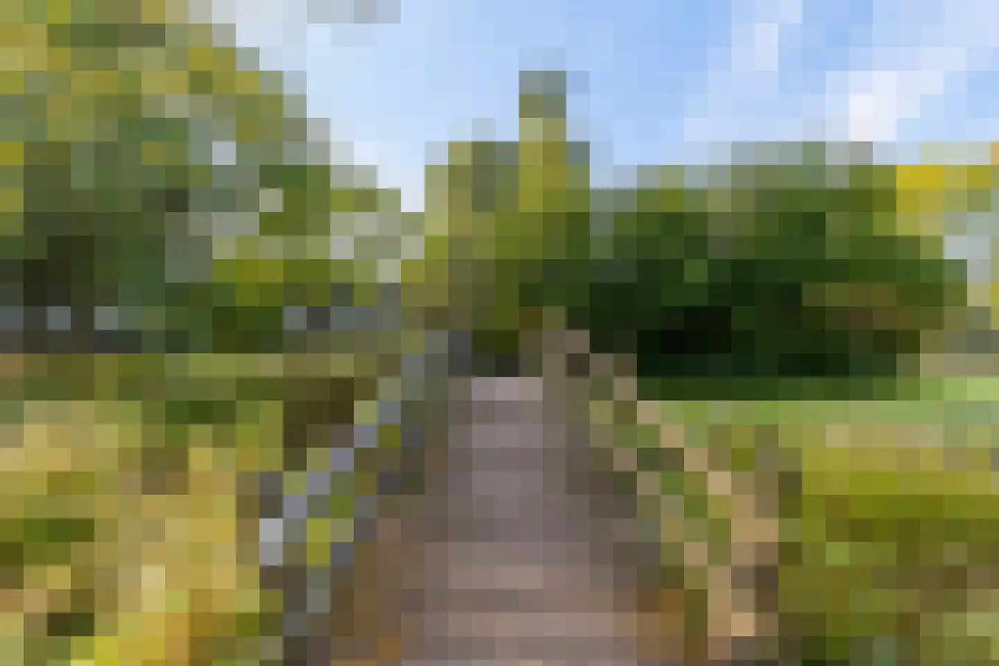 Kerkenland 7 Elburg thumbnail 53