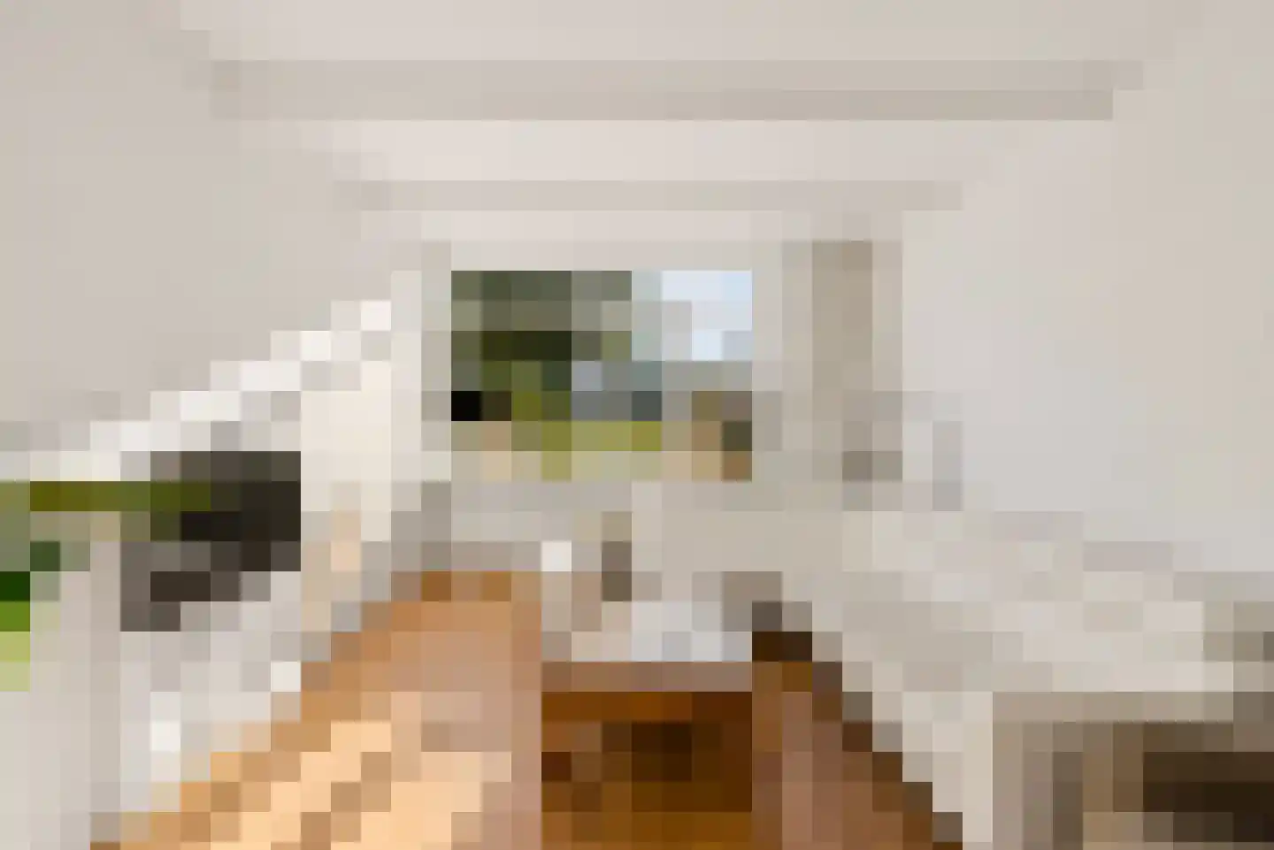 Kerkenland 7 Elburg thumbnail 7