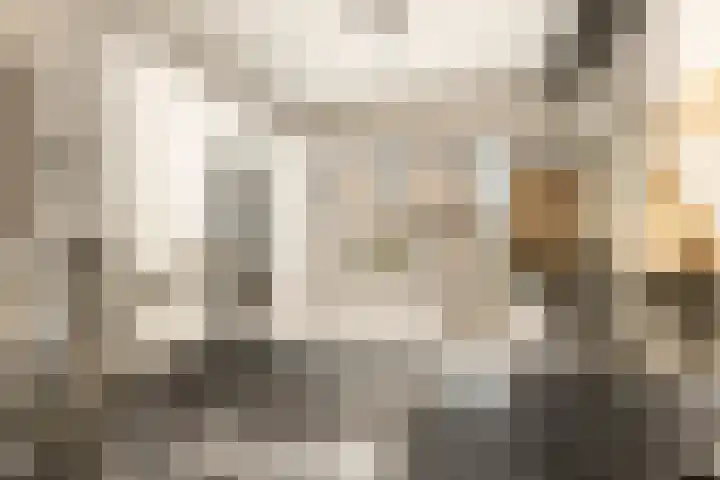 Kerkenmaaijerskamp 29 Velserbroek thumbnail 14