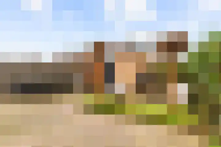Kerkenmaaijerskamp 29 Velserbroek thumbnail 23