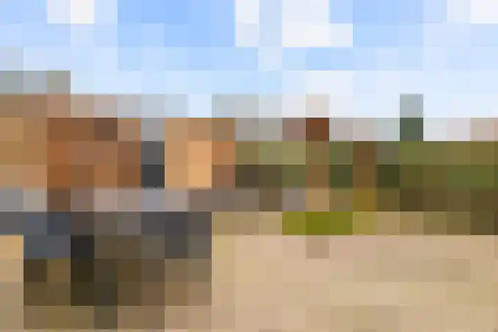 Kerkenmaaijerskamp 29 Velserbroek thumbnail 24