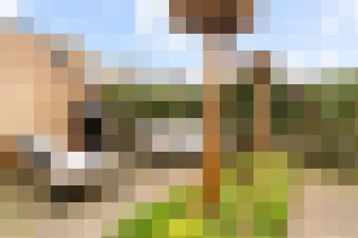 Kerkenmaaijerskamp 29 Velserbroek thumbnail 25
