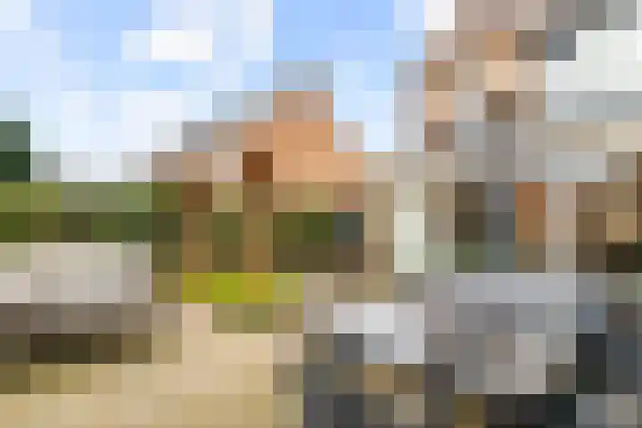 Kerkenmaaijerskamp 29 Velserbroek thumbnail 26