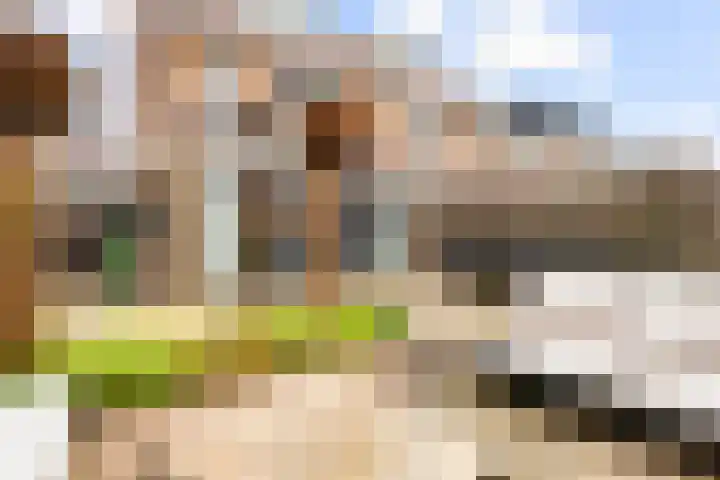 Kerkenmaaijerskamp 29 Velserbroek thumbnail 27