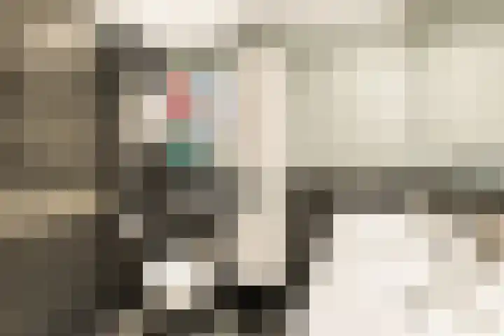Kerkenmaaijerskamp 29 Velserbroek thumbnail 30